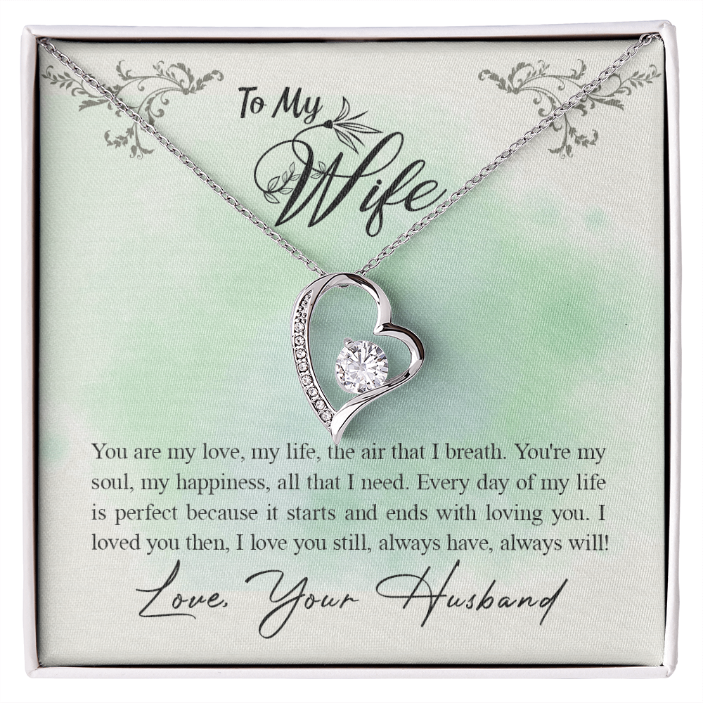 To My Wife - from your Husband.(Forever Love Necklace)