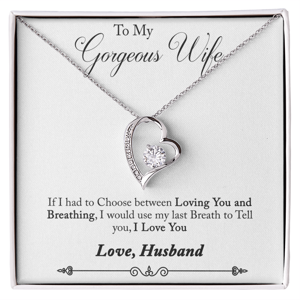 To My gorgeous Wife - from your Husband.(Forever Love Necklace)