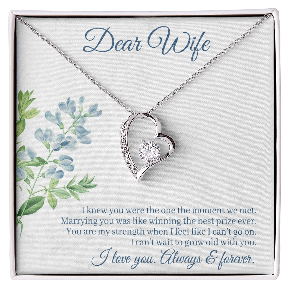 To My  Wife - from your Husband.(Forever Love Necklace)
